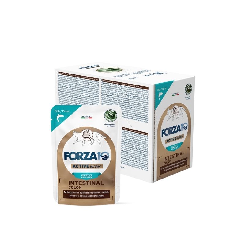 FORZA10 GATTO INTESTINAL COLON PESCE PATE' (12x80 gr) - Alimento dietetico per gatti per il supporto dell'assorbimento intestinale