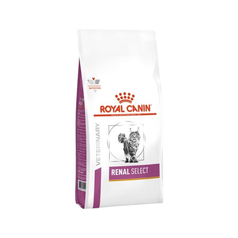 ROYAL CANIN VHN CAT RENAL (4 Kg) - Alimento dietetico completo per gatti adulti con sensibilità renale