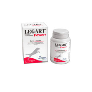 LEGART-POWER-(60-cpr)
