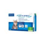 EFFIPRO-GATTO-50-MG-(4-pipette)