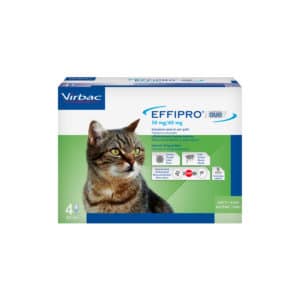EFFIPRO-DUO-GATTO-50-MG-(4-pipette)