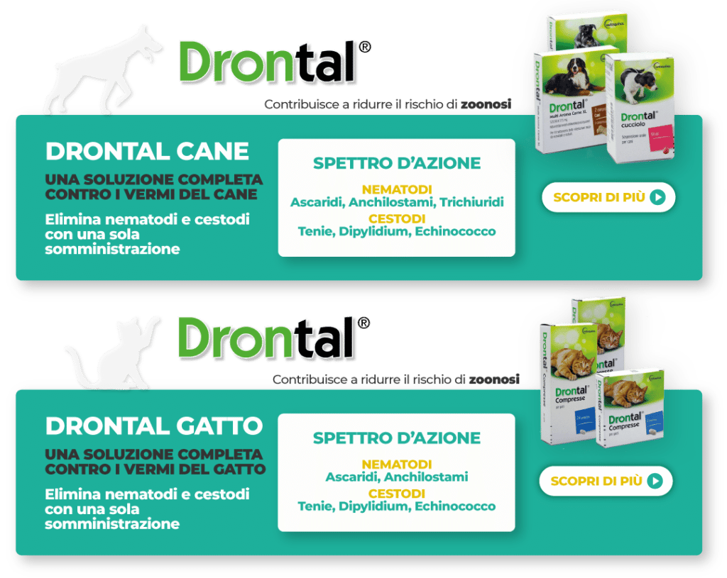 banner-rettangolari-mobile-drontal-schede-cane-gatto