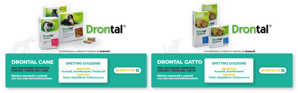 banner-rettangolari-stretti-drontal-schede-cane-gatto