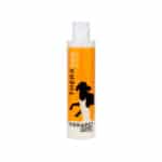 THERASEB-SHAMPOO-(200-ml)