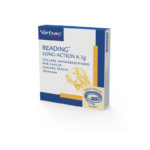 READING-LONG-ACTION-CANE-GRANDE-(70-cm)