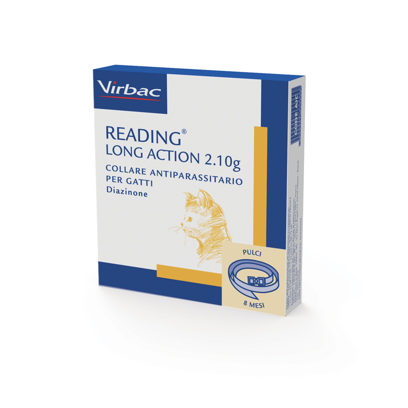 READING-LONG-ACTION-GATTO-(35-cm)