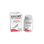 LEGART-POWER-(20-cpr)