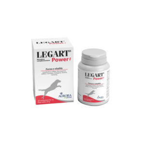 LEGART-POWER-(20-cpr)