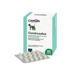 CONDROSALUS-(60-cpr)