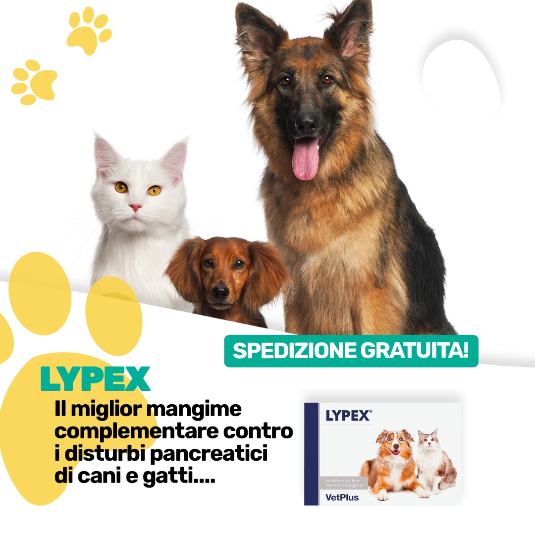 centrovete-banner-mobile-lypex-promo