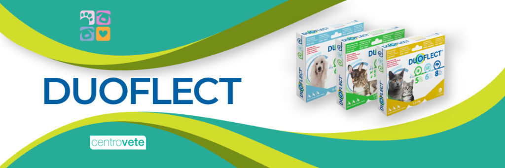 centrovete-banner-leishmania-duoflect-2024