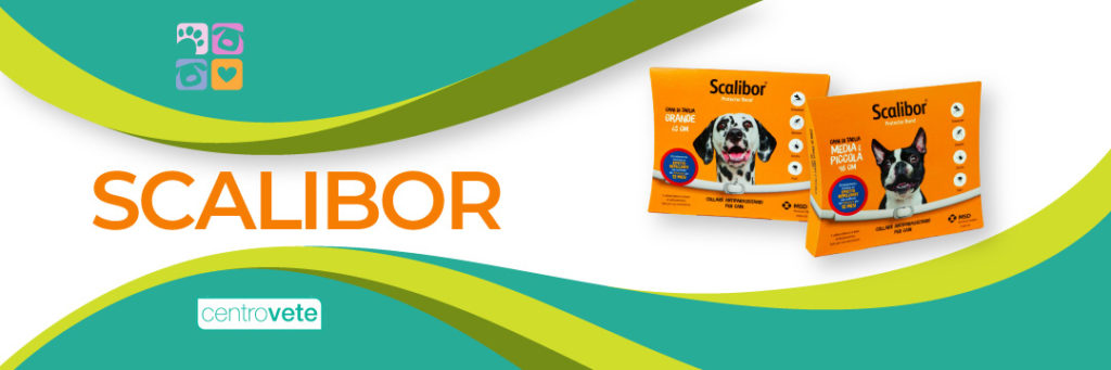 centrovete-banner-leishmania-scalibor-2024