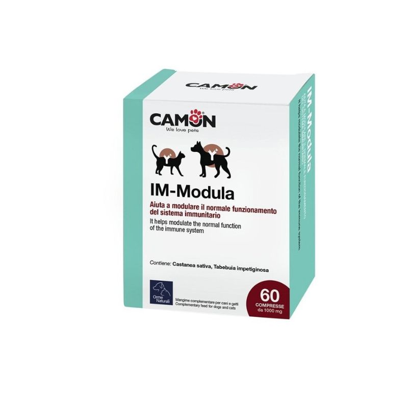 IM-MODULA 60 CPR IM-MODULA 60 CPR